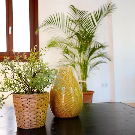 Apartment Montmari - Turismo De Interior Palma